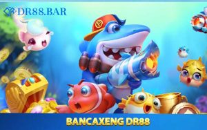Tổng quan thông tin sơ lược về bancaxeng DR88