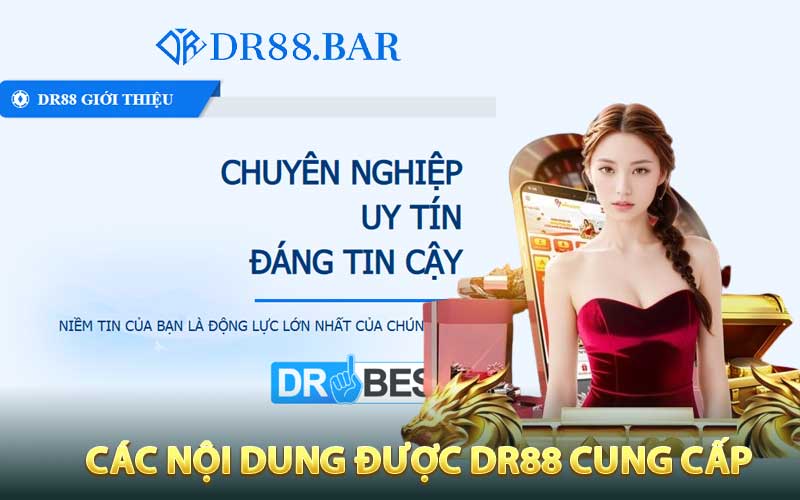 Các nội dung được DR88cung cấp
