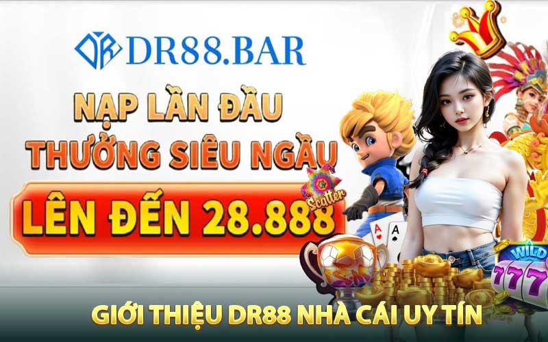 Giới thiệu DR88 Nhà Cái Uy Tín
